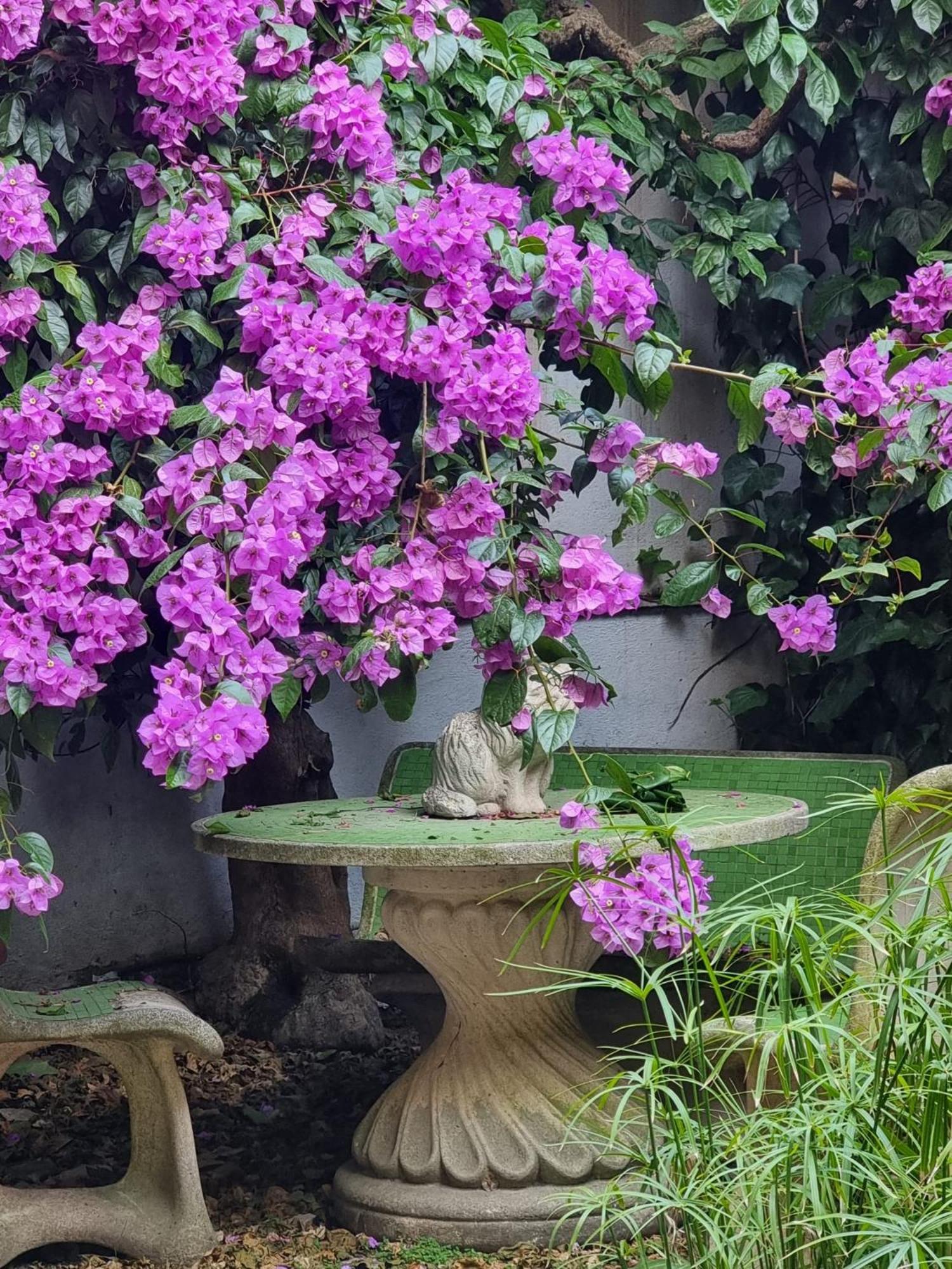 Vatican Fairytale Garden 罗马 外观 照片
