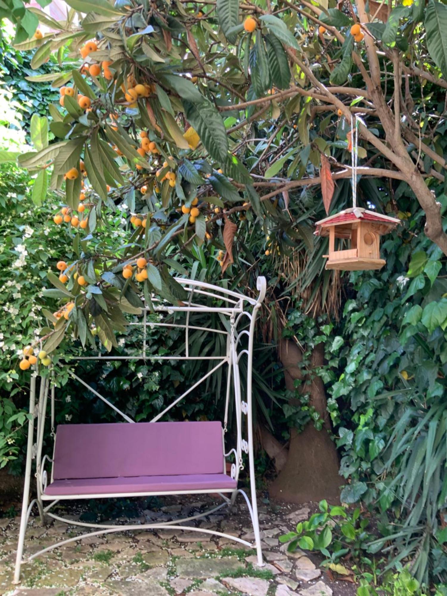 Vatican Fairytale Garden 罗马 外观 照片